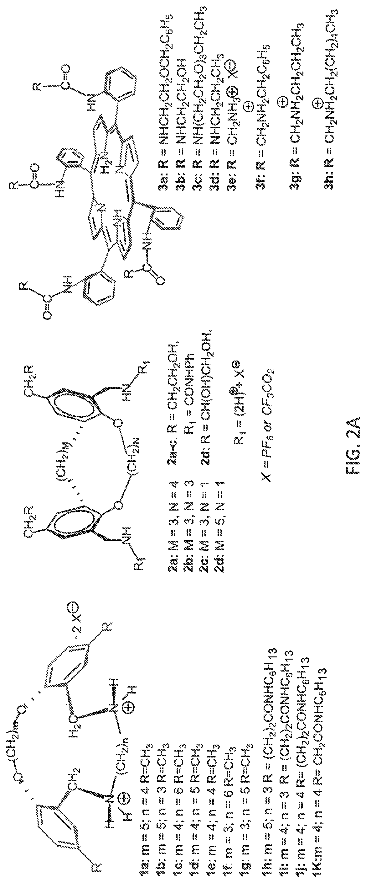 Compounds for inhibiting bacterial growth via phosphatidylglycerol binding