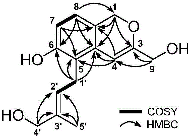 Aroma-enhancing moisture-retaining isocoumarin compound, and preparation method and application thereof