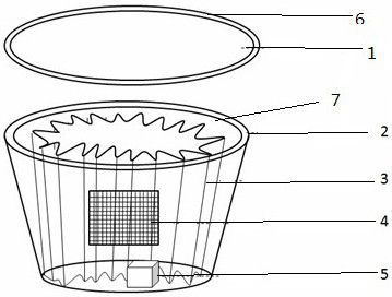 A self-mutilating insect breeding and egg collection method