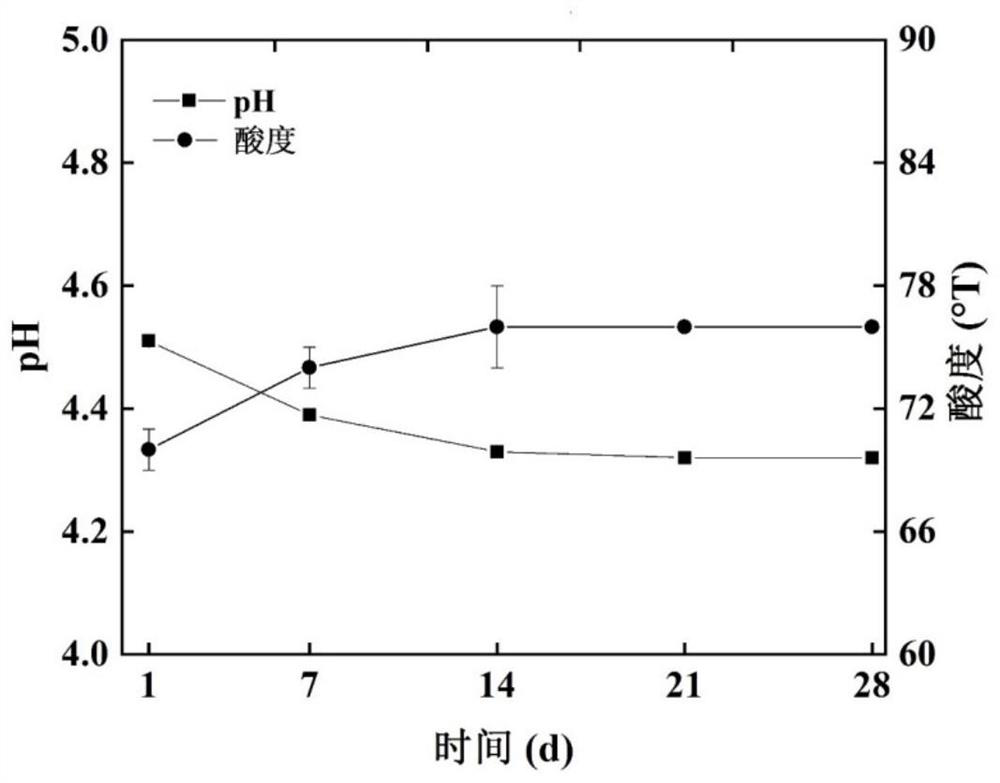 Yoghourt oil fermented by lactococcus lactis and preparation method thereof