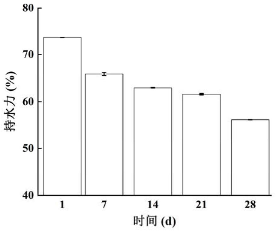 Yoghourt oil fermented by lactococcus lactis and preparation method thereof