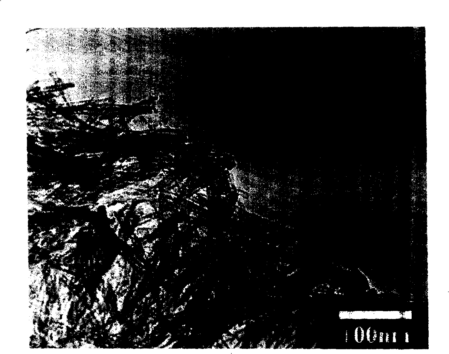 Method for preparing Nano tube of titanate