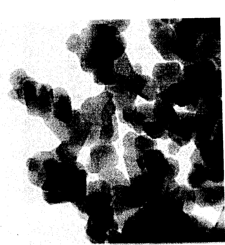 Preparation method of stable water-soluble niobium and tantalum precursor and application thereof