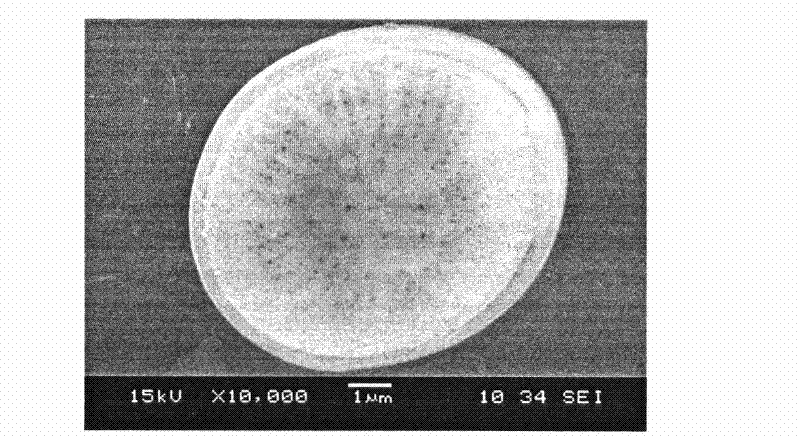 Method for refined purifying diatomite from diatomaceous clay in Miyi County of Sichuan Province