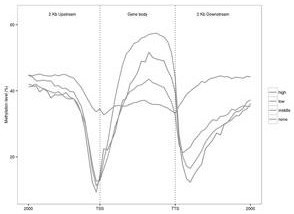 Transcriptome and DNA methylation data correlation analysis method and system