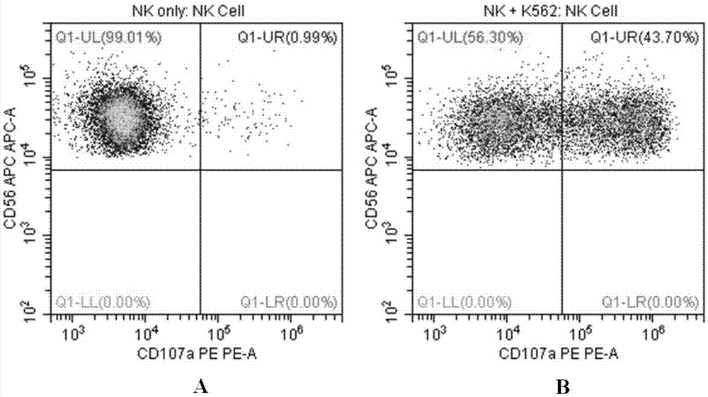 Flow cytometry detection method of natural killer cell degranulation