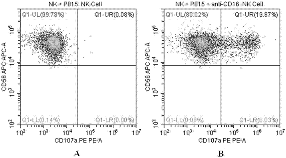 Flow cytometry detection method of natural killer cell degranulation