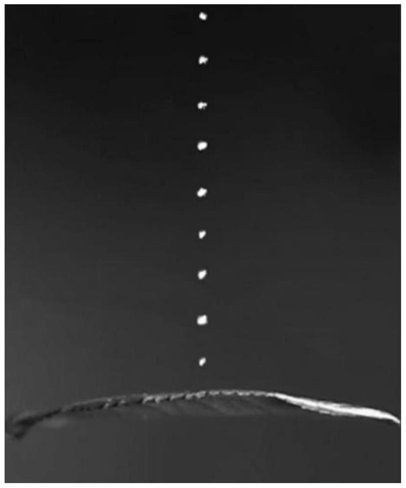 Method for measuring latency of multiple pesticide fog drops impacting leaf surfaces based on high-speed visual coupling contour feature extraction