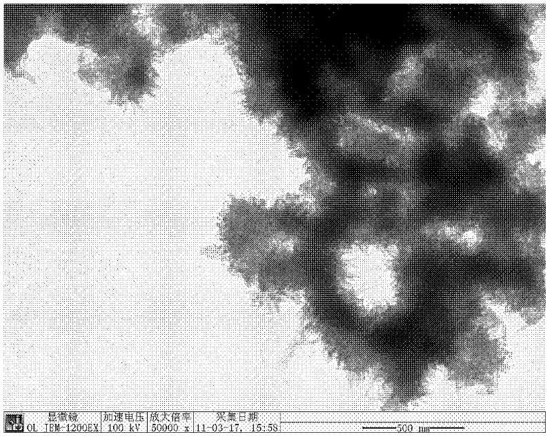 Polyaryletherketone/polyaniline-carbon nanotube composite material with high dielectric property and preparation method thereof