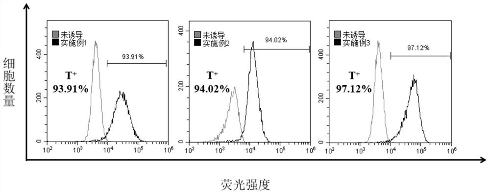 Differential culture medium of human pluripotent stem cell derived mesoderm cells and application of differential culture medium