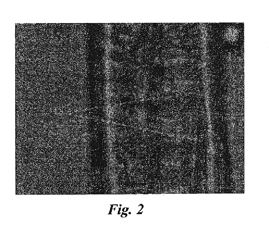 Pet food compositions having electrostatically charged ingredient