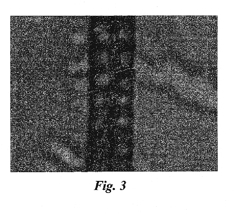 Pet food compositions having electrostatically charged ingredient