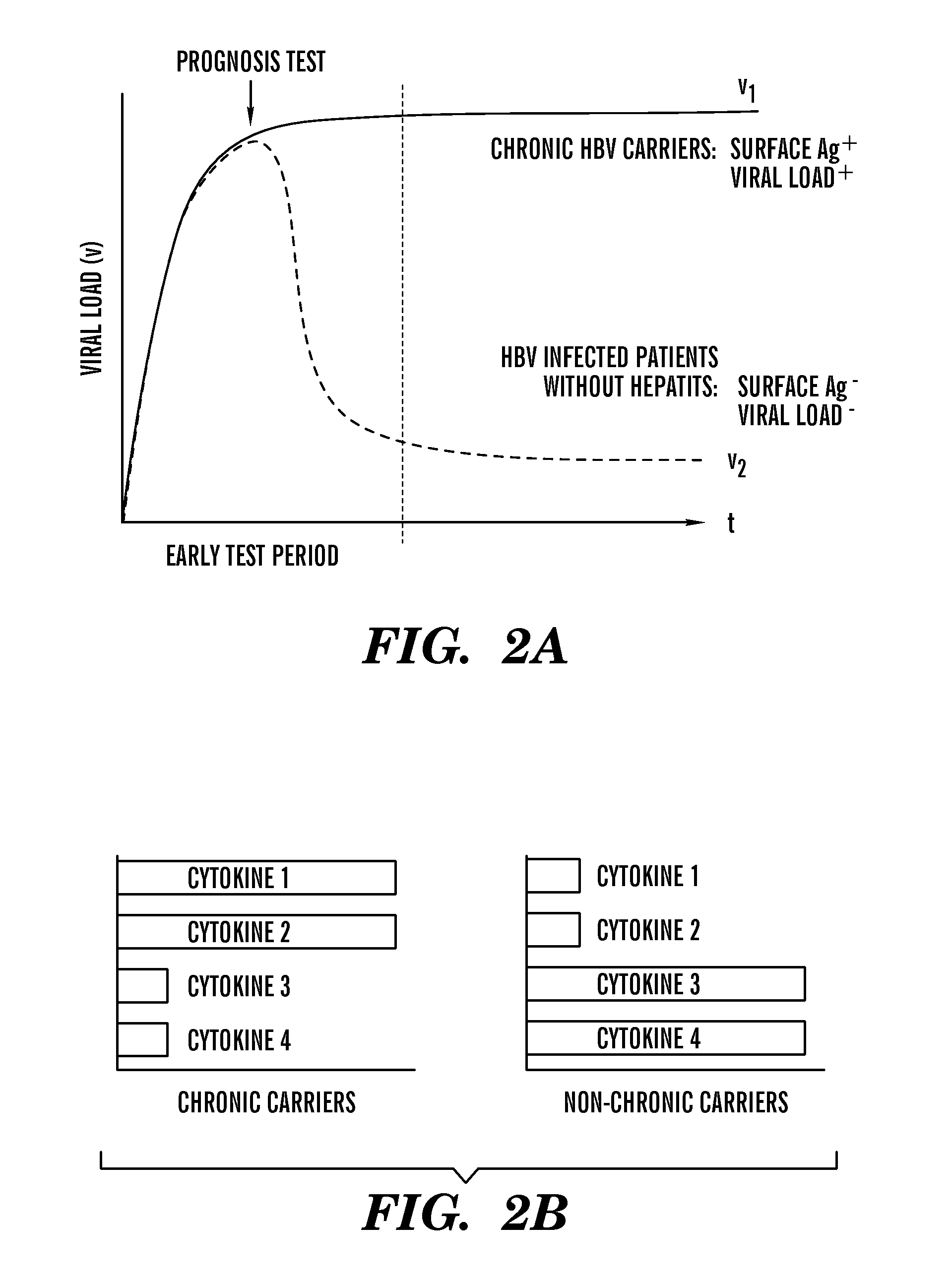 Methods and compositions for diagnostic assays for measuring cell mediated immune response