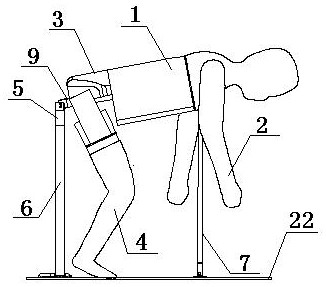 Posture-adjustable collision dummy for simulating underground operation of coal mine