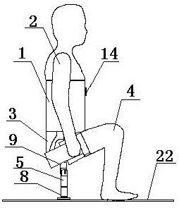 Posture-adjustable collision dummy for simulating underground operation of coal mine