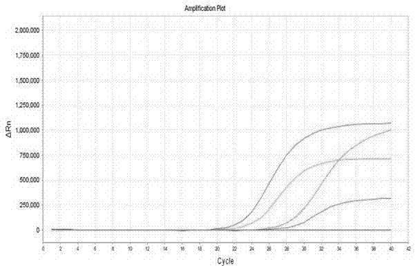 Kit for real-time fluorescent RT-PCR (Reverse Transcription-Polymerase Chain Reaction) detection of poliomyelitis virus