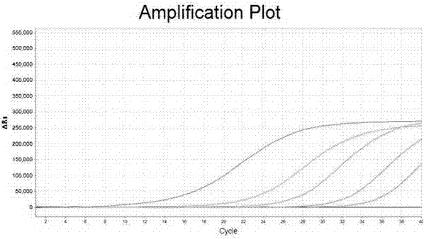 Kit for real-time fluorescent RT-PCR (Reverse Transcription-Polymerase Chain Reaction) detection of poliomyelitis virus