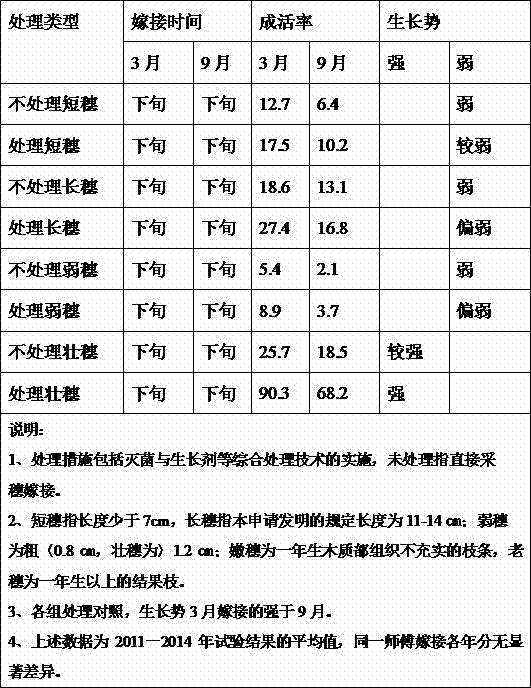 Method for increasing grafting survival rate of waxberry ploidy variation plants