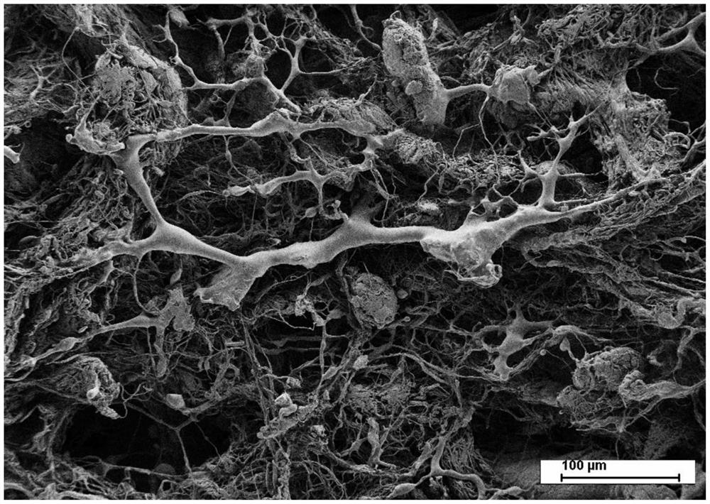 Preparation method of electrospun fiber scaffold material