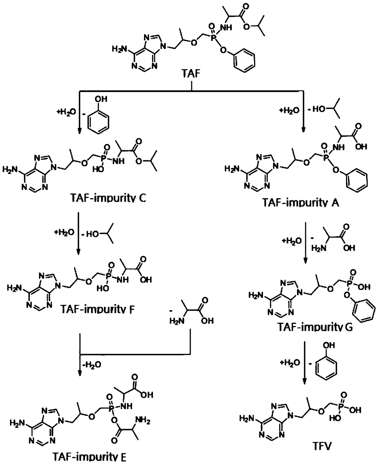 Synthesis method of potential impurities in production of tenofovir alafenamide hemifumarate