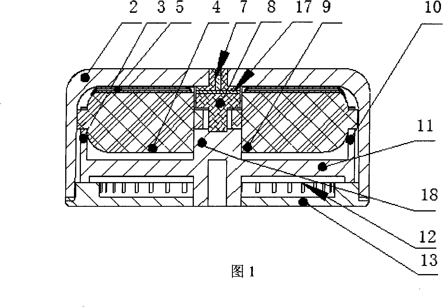 Ultrasonic motor driving roller pump