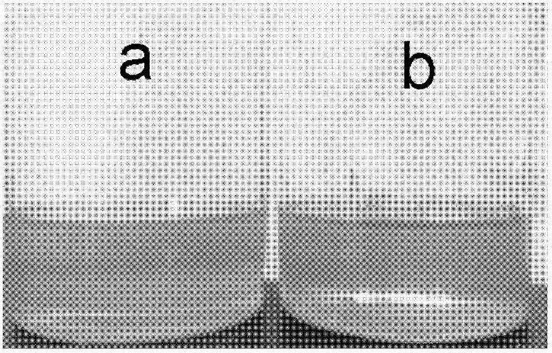 Method for preparing nanoscale lubricant additive