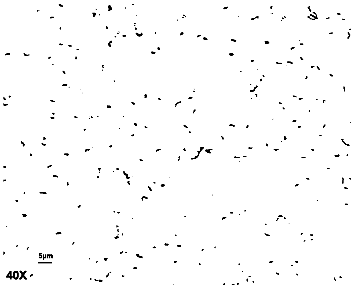 A kind of alkalophilic bacillus ntt33c6 producing constitutive mannanase and its application