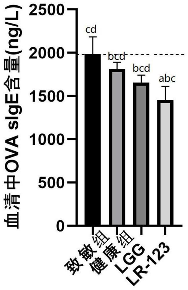 Bacterial strain with function of regulating allergic constitution and application of bacterial strain