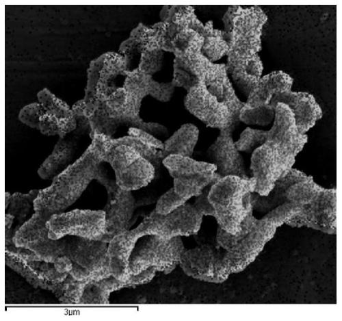 Method for removing antibiotics in sewage through coupling of microorganisms and photocatalysis, and up-conversion/titanium dioxide composite material used therein