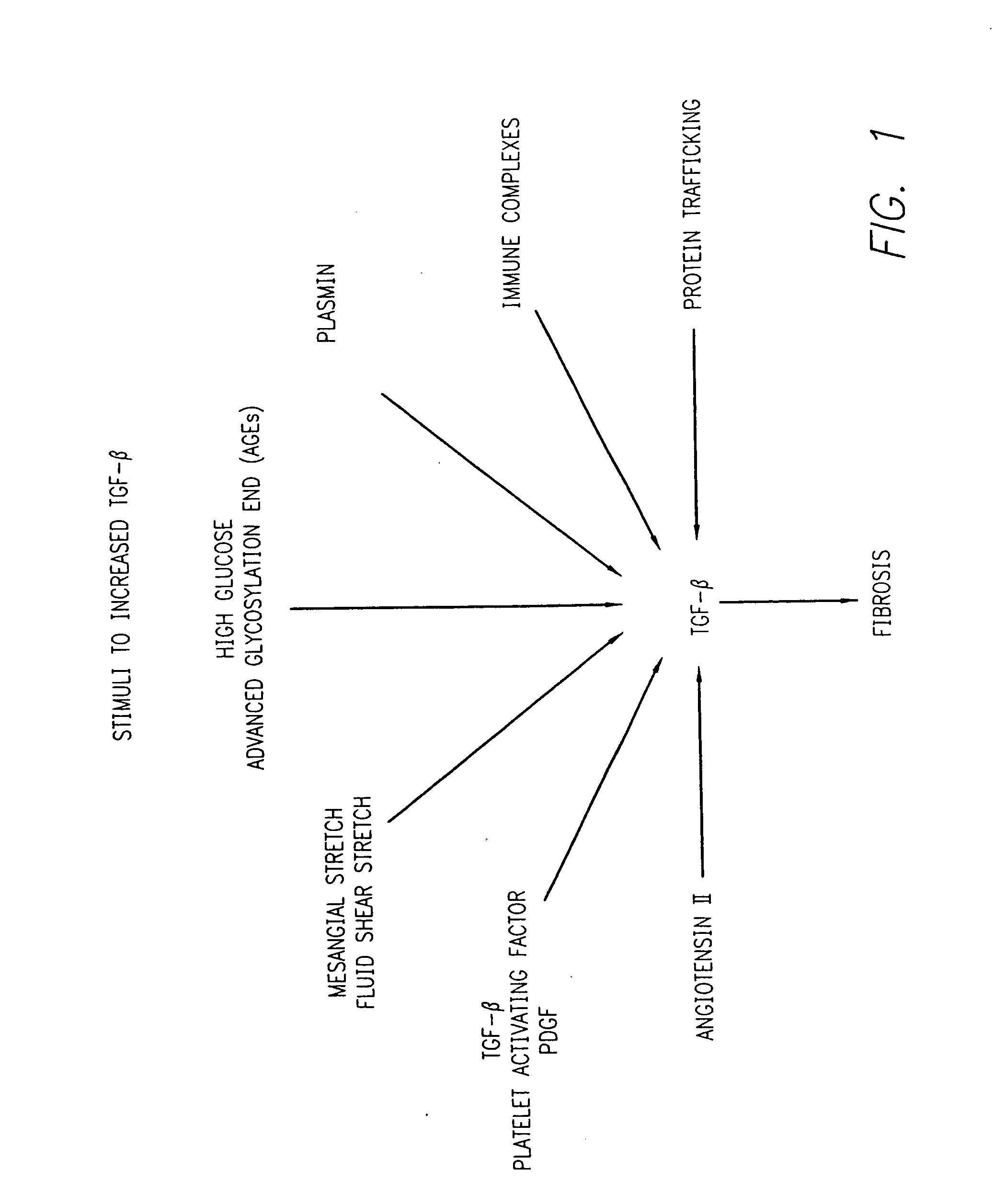 Methods for treating conditions associated with the accumulation of excess extracellular matrix