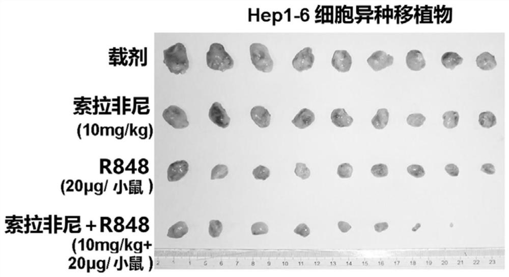 Medicine composition of R848 or medicine composition of combination of R848 and sorafenib for treating cancer and application