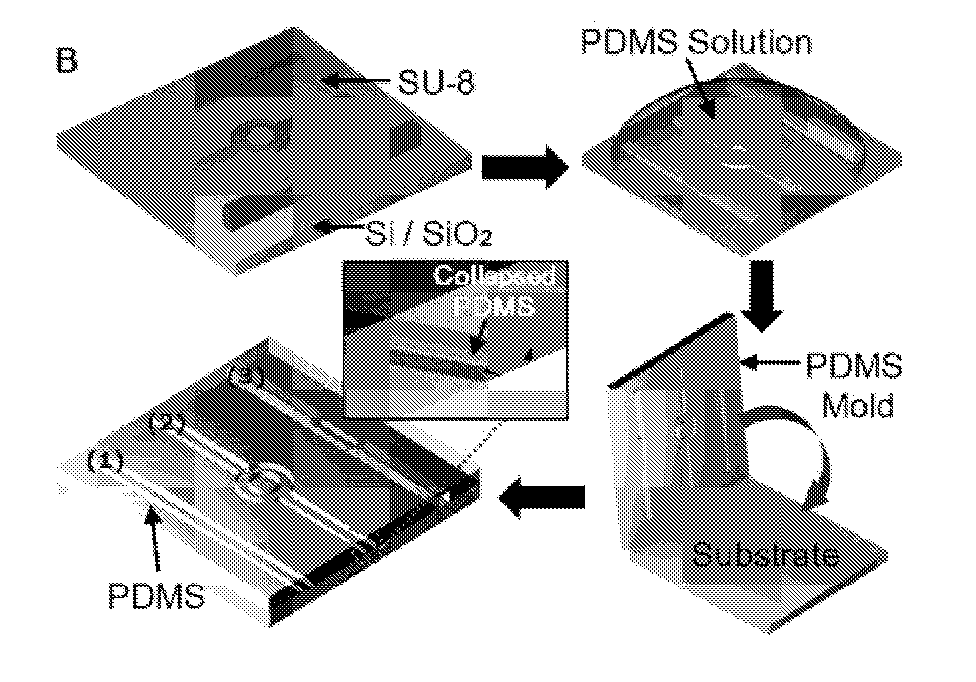 Nanofilter devices using elastomeric micro to nanochannel interfaces and methods based thereon