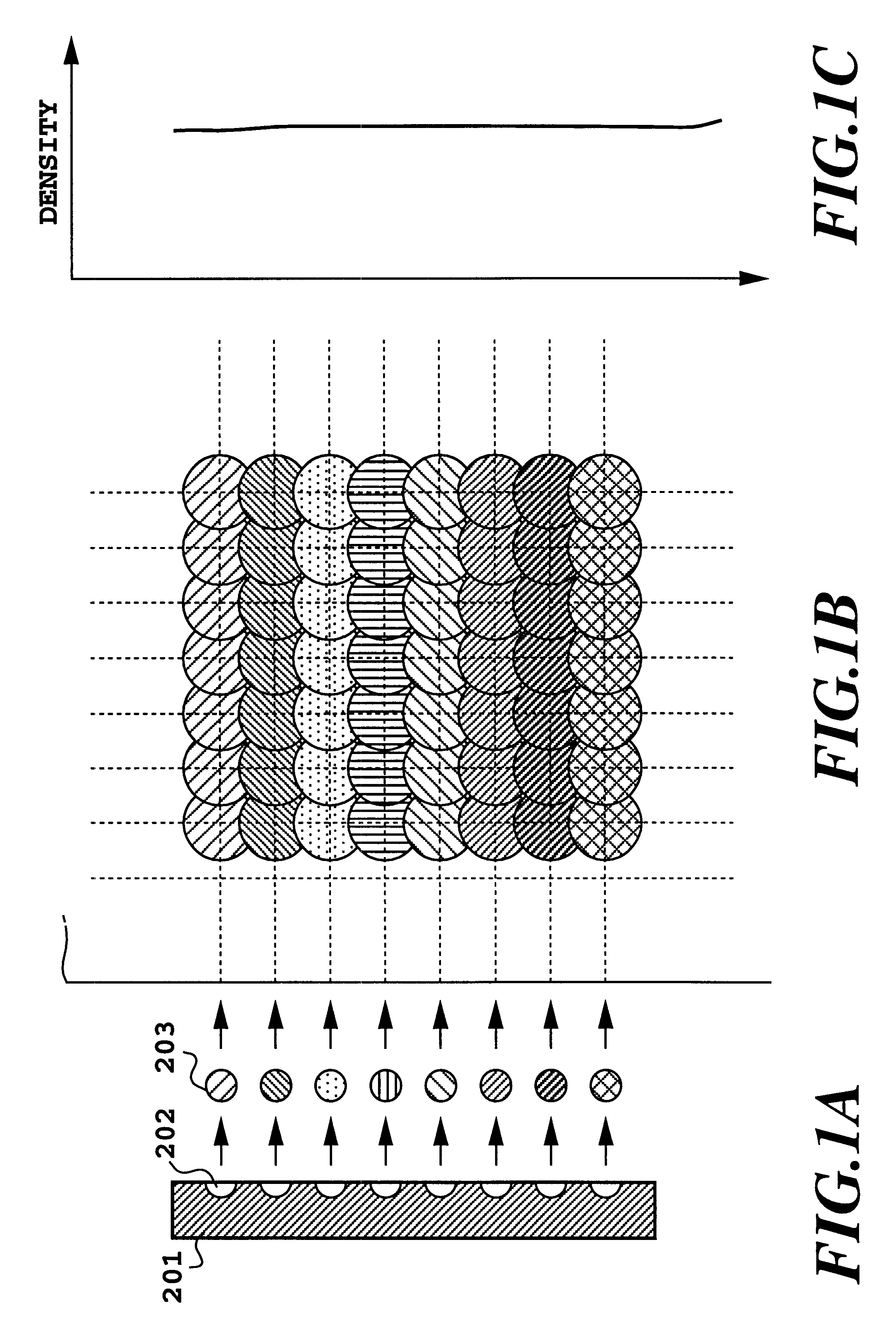 Adjustment method of dot printing positions and a printing apparatus