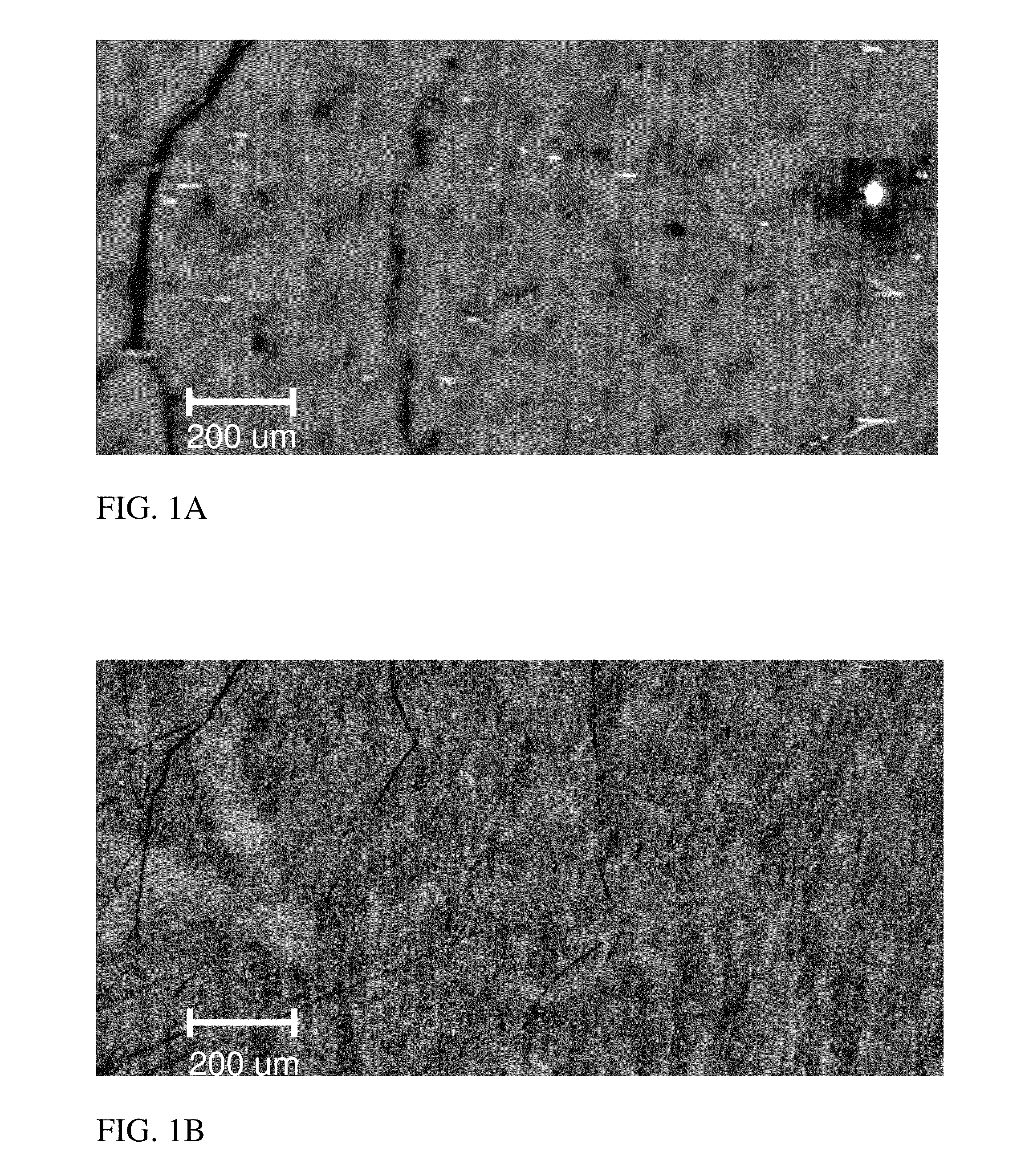 Elimination of basal plane dislocations in post growth silicon carbide epitaxial layers by high temperature annealing while preserving surface morphology