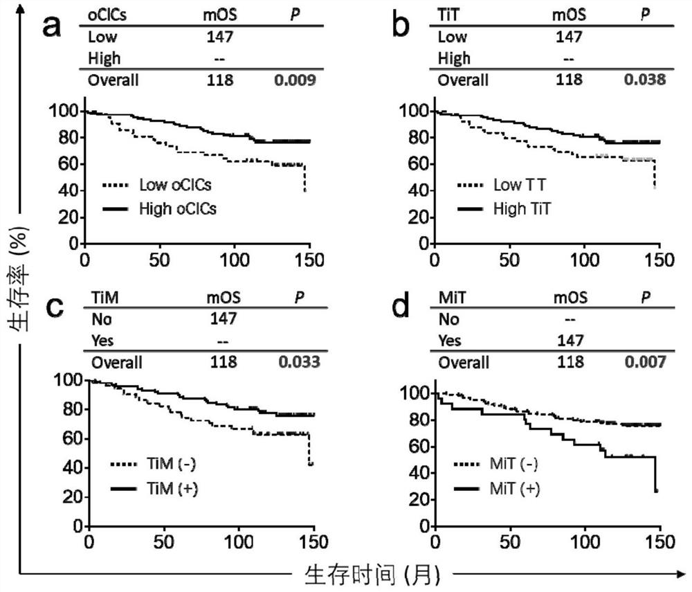 Application of CICs in breast tumor tissues in preparation of product for predicting breast cancer prognosis survival