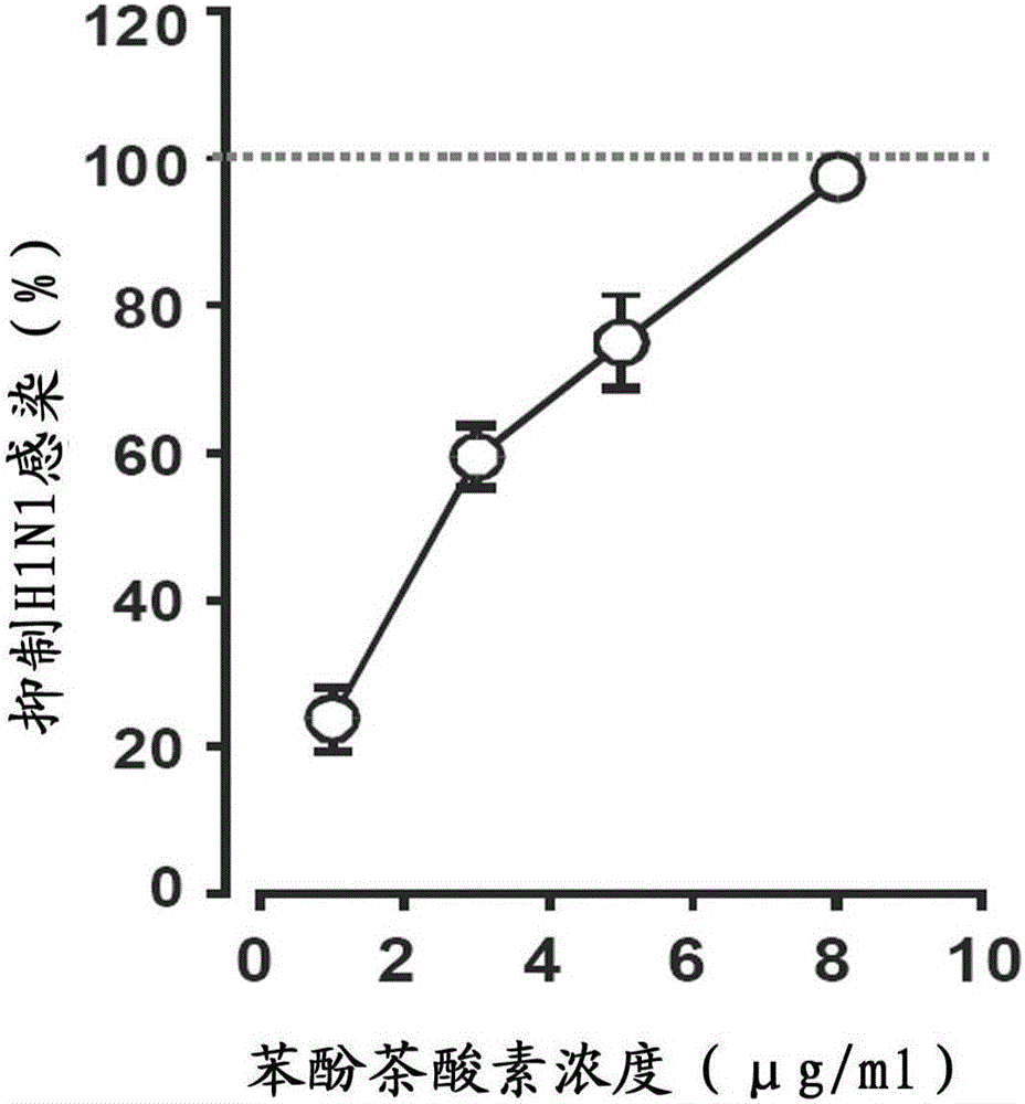 Application of piperidinium-2,3-dihydroxy-5-((2R,3R)-3,5,7-trihydroxy-4-oxochroman-2-yl)phenolate (PDTOP) in preparation of medicines for treating or preventing diseases of respiratory system