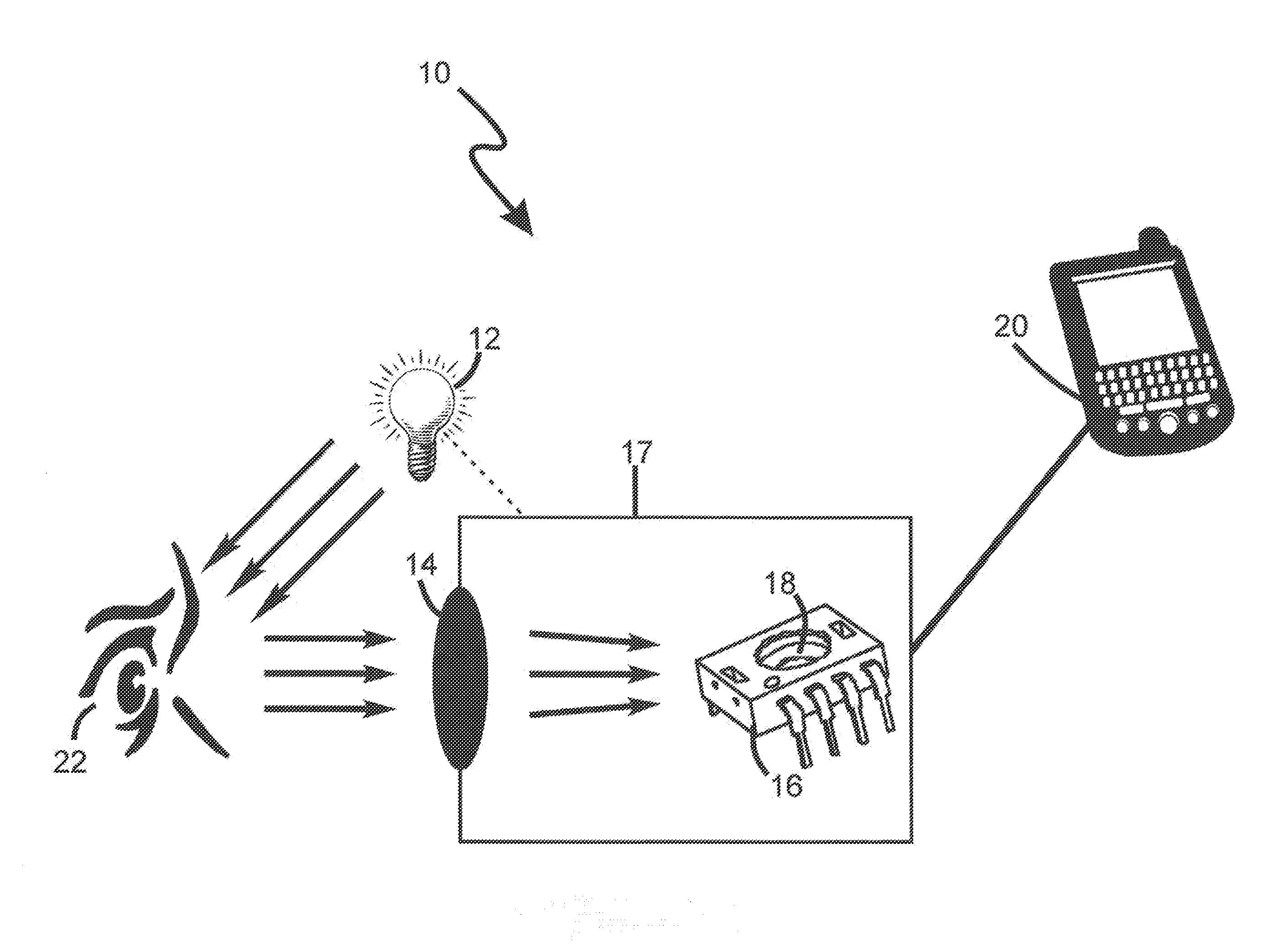 Saccadic Motion Detection System