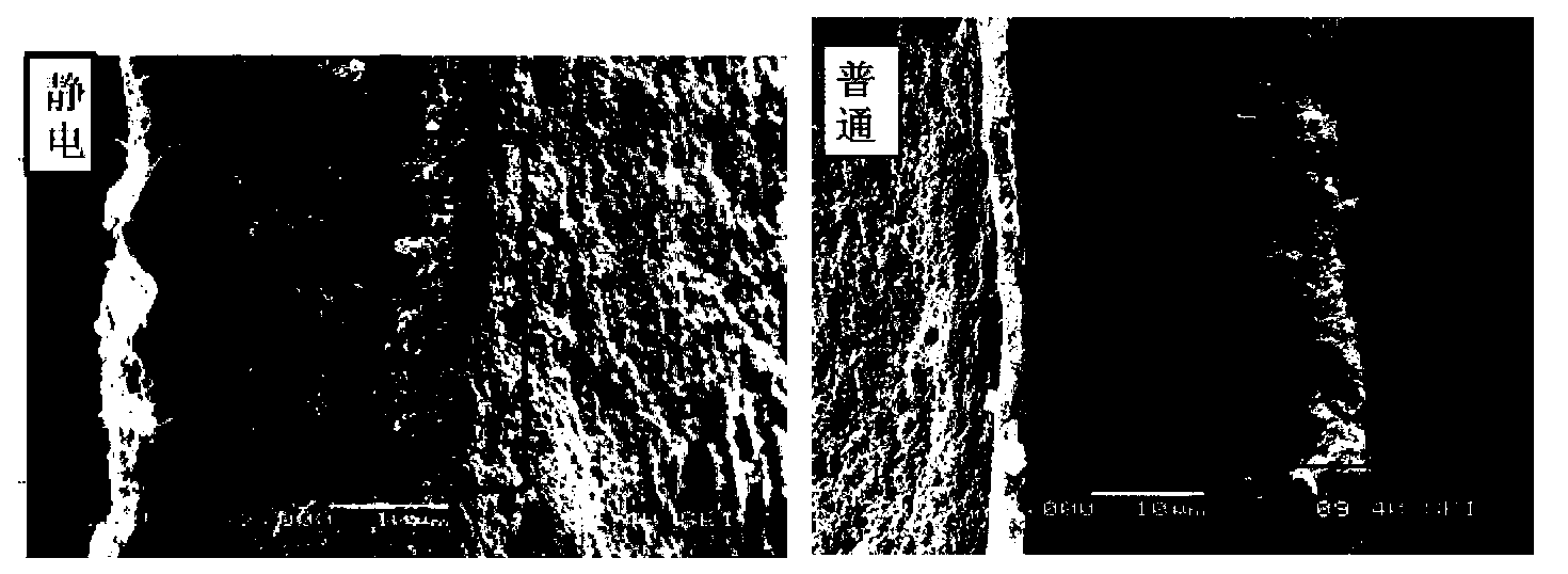 Preparation method for membrane electrode of fuel cell