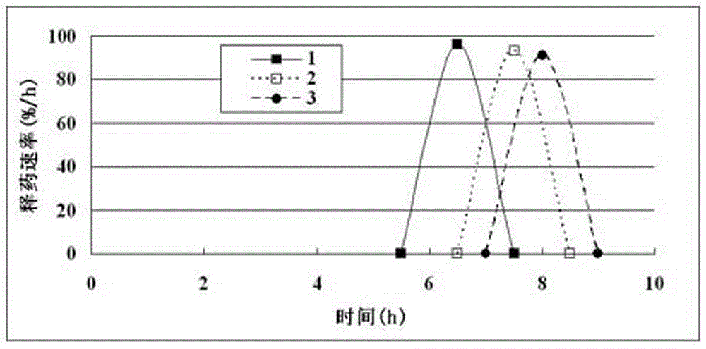 Ginkgol biloba extract delayed pulse capsule and quality control method thereof