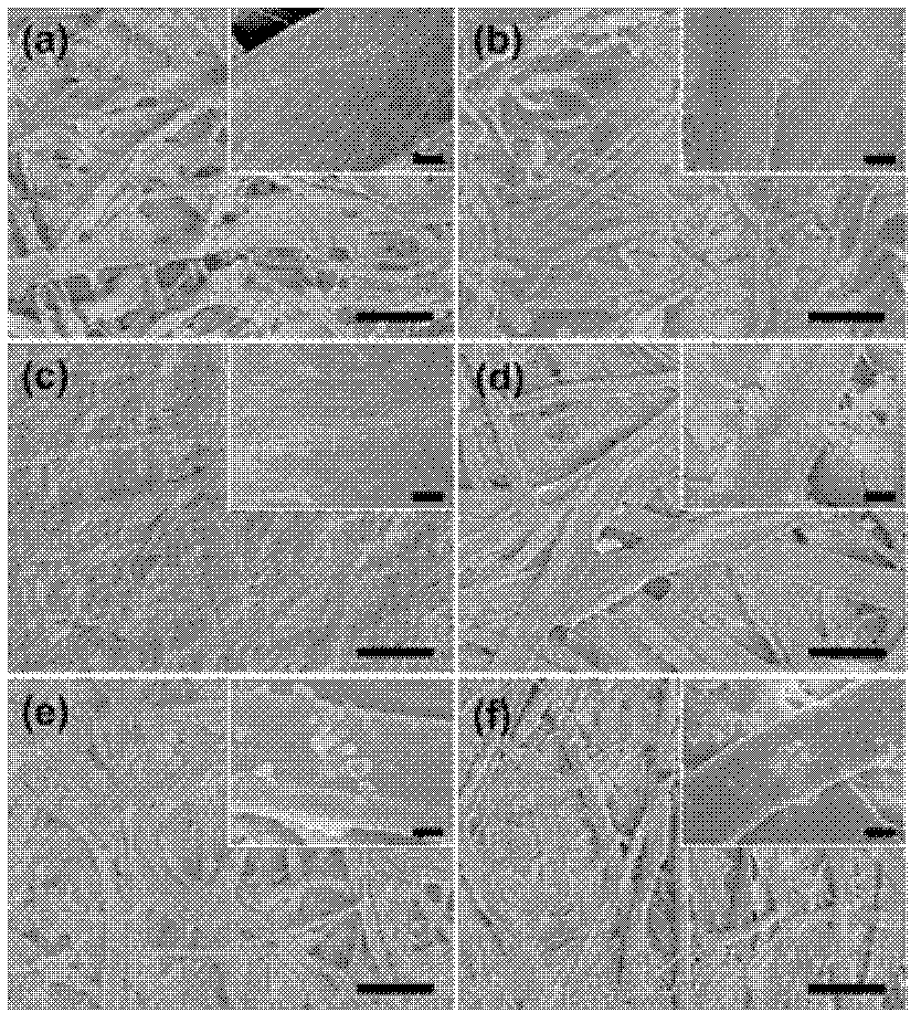 Surface enhanced raman detection test paper and application thereof