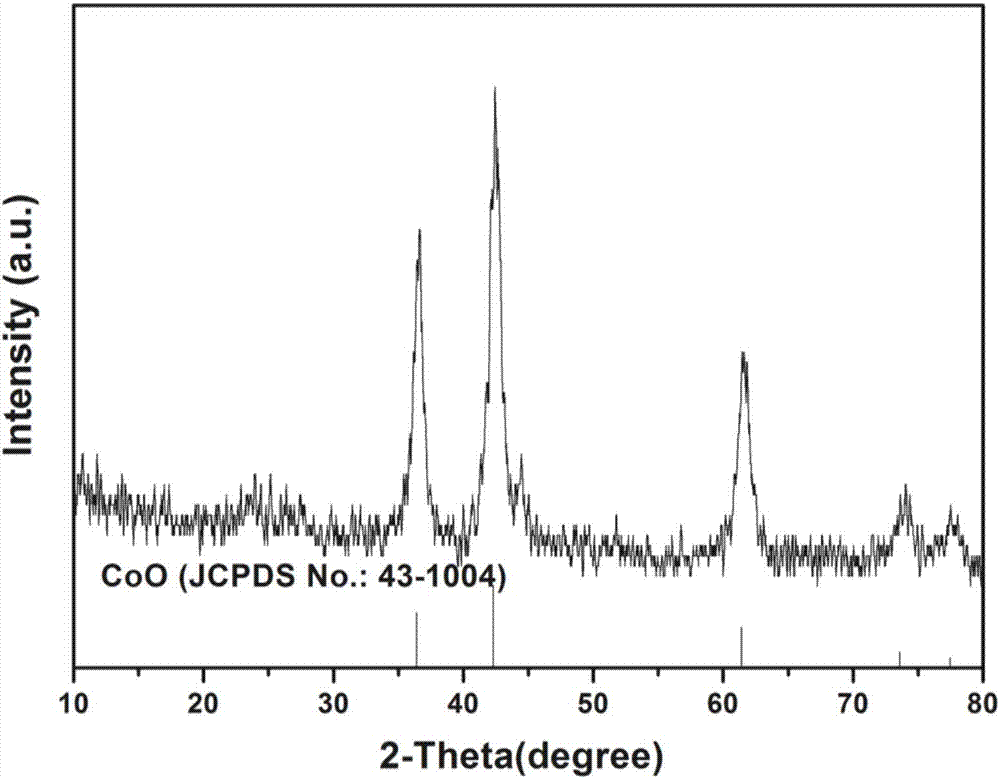 CoO/reduced graphene oxide composite negative pole material and preparation method thereof