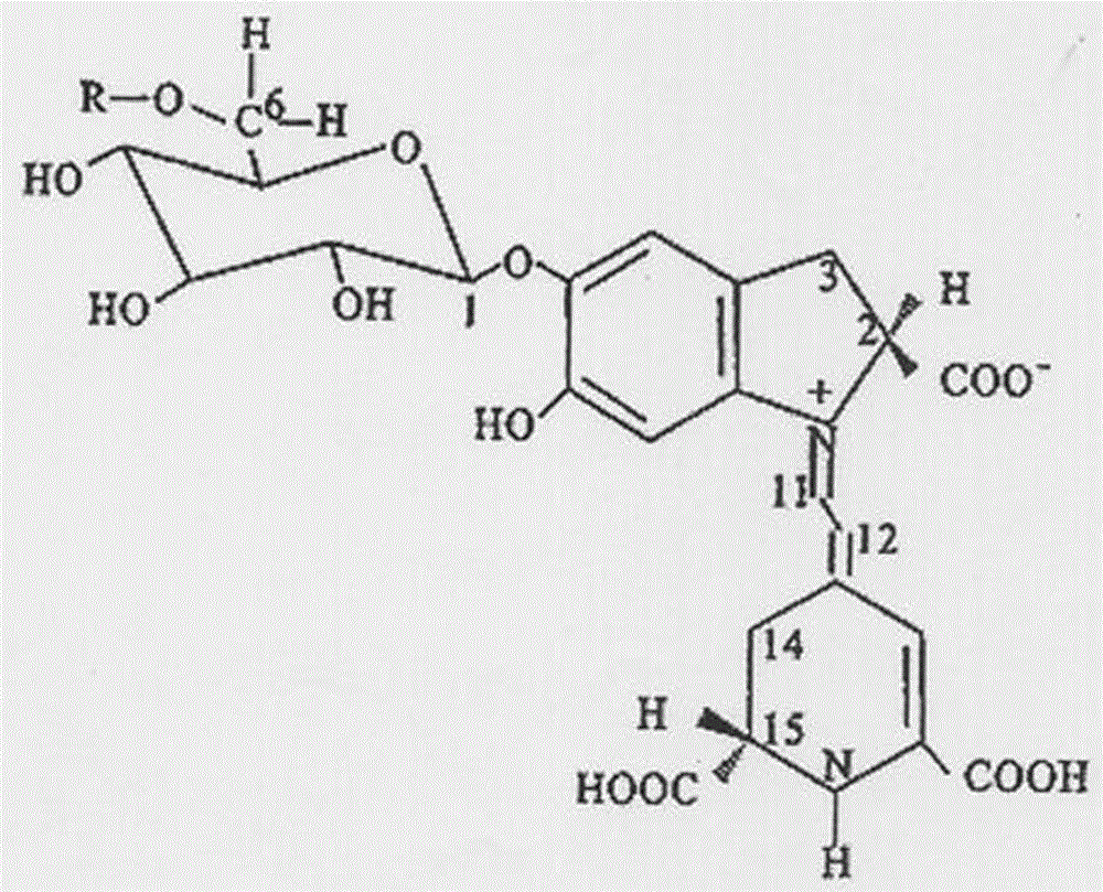 Hylocereus polyrhizus flesh and pericarp red pigment and extraction method thereof