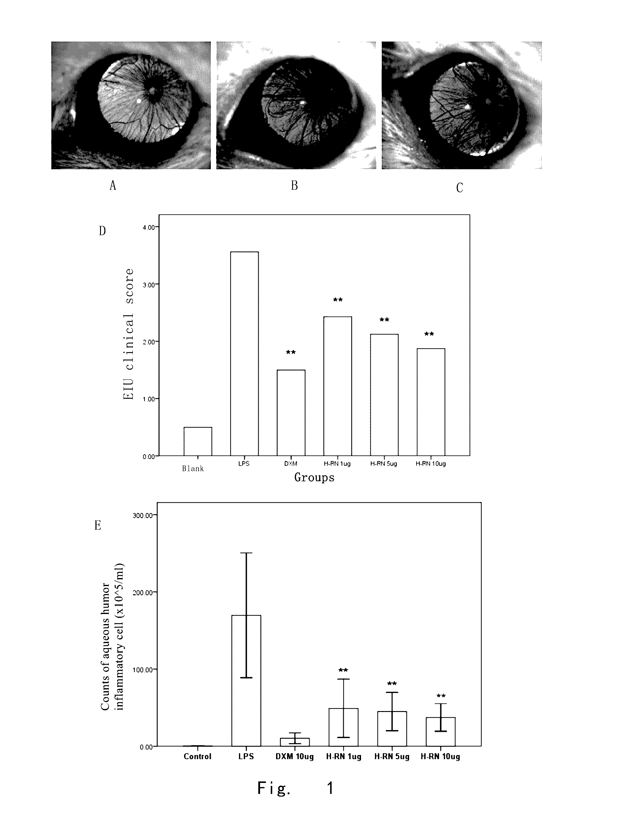 Low molecular polypeptide for preventing and treating inflammation and use thereof