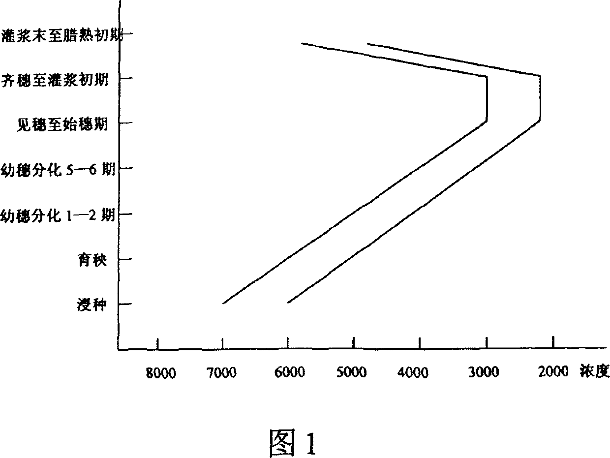 Application of pant growth regulator 'Aiduoshou' in hybridized rice