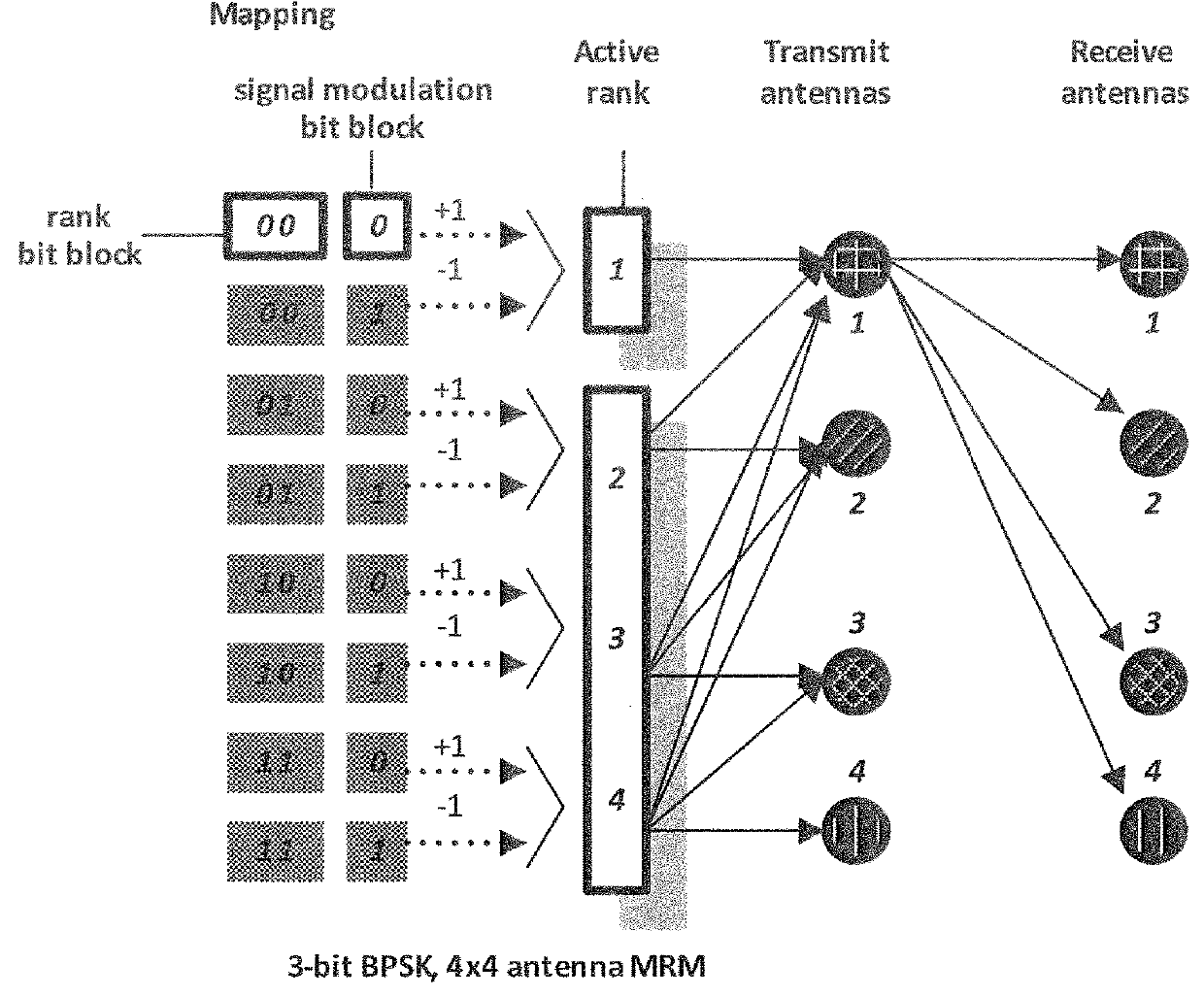 A multiple rank modulation system