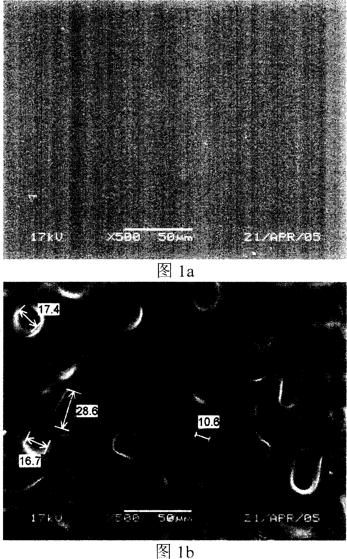 Ordered membrane electrode of proton-exchange membrane fuel battery