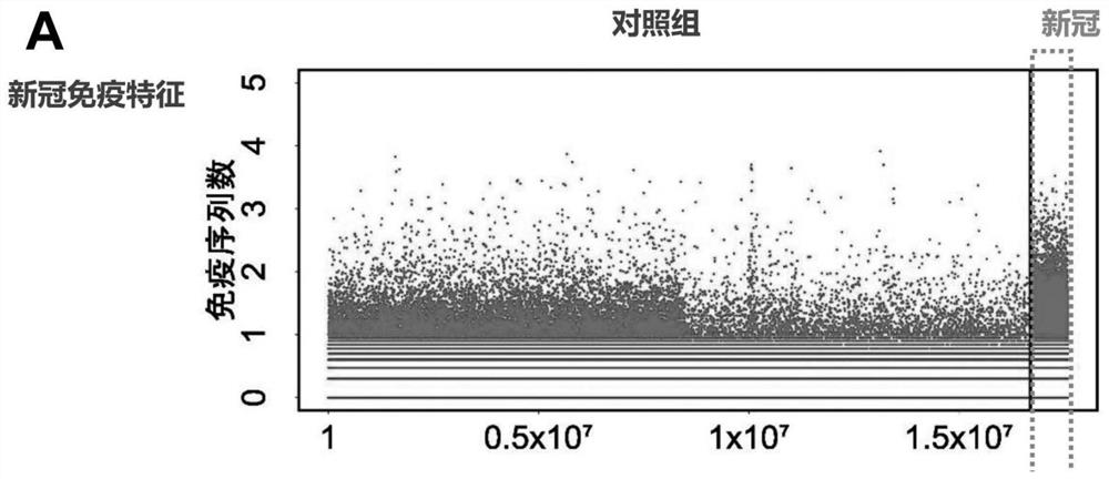 Method and system for screening specific BCR/TCR