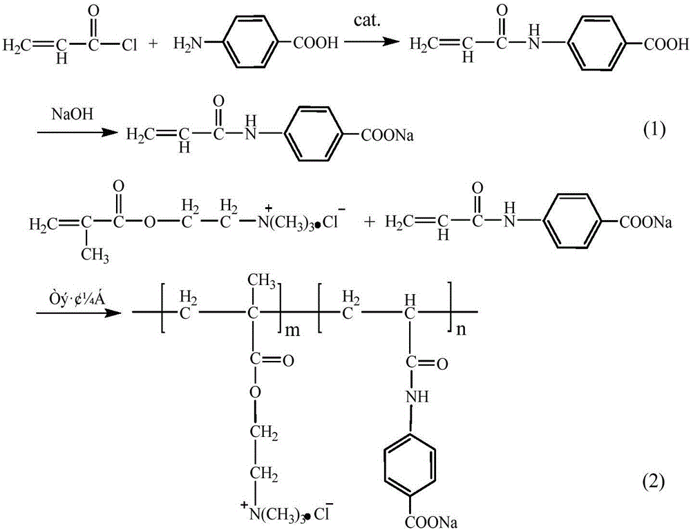 Amphoteric organic polymer compound and preparation method thereof