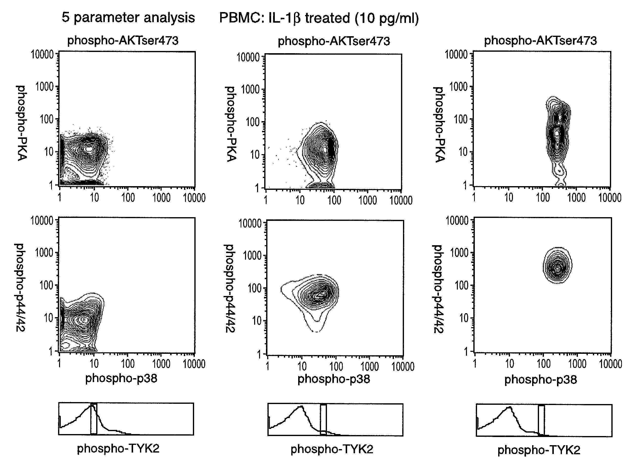 Methods and compositions for detecting the activation state of multiple proteins in single cells