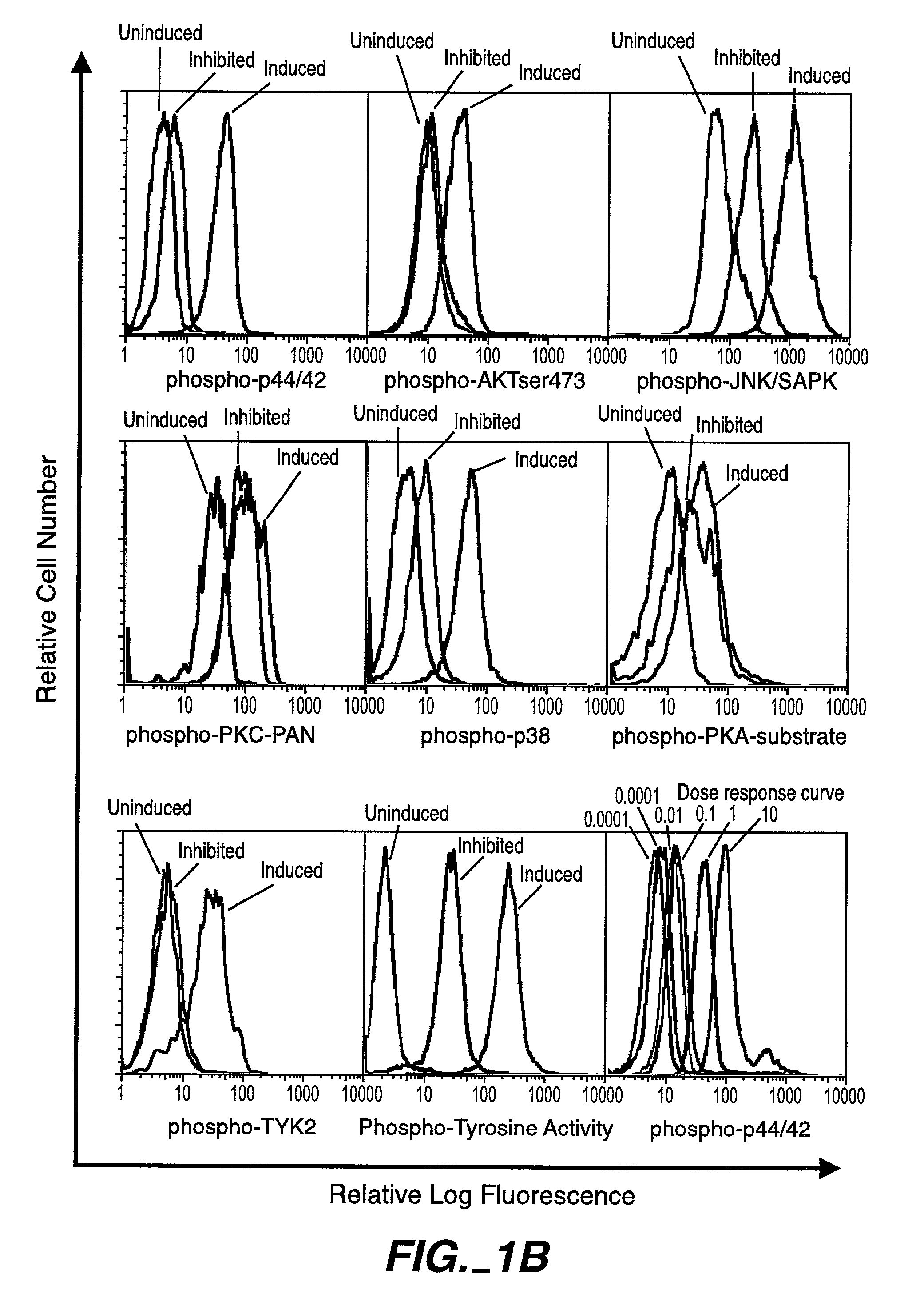 Methods and compositions for detecting the activation state of multiple proteins in single cells